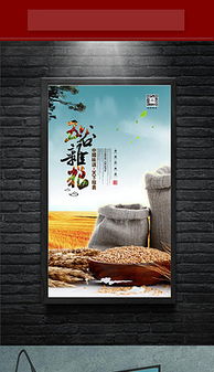 五谷杂粮广告设计 精选PNG素材与模板助力健康营销